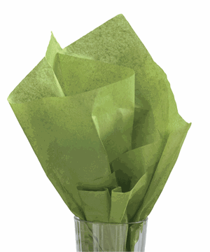 480 Sheets Solid Tissue Paper Green Tea 20 x 30