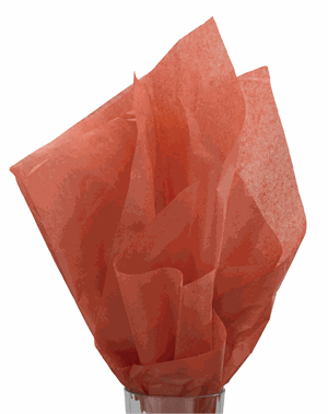 480 Sheets Solid Tissue Paper Cinnamon (Rust) 20 x 30