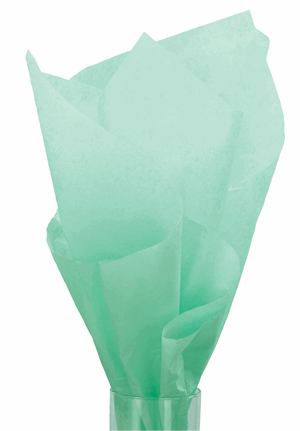 480 Sheet Solid Tissue Paper Cool Mint Green 20 x 30