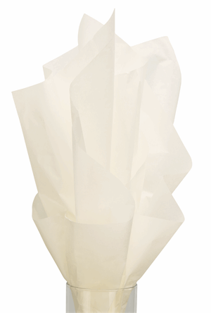 480 Sheets Solid Tissue Paper Ivory 20 x 30