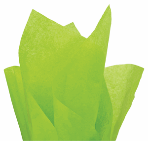 480 Sheets Solid Tissue Paper Citrus Green 20 x 30