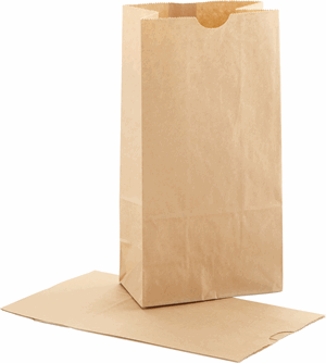 500 Kraft SOS Bags 5 x 3 1/8 x 9 5/8