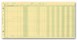 136021N Payroll Expense Journal 21 13/16 x 11