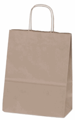 Kraft Brown Paper Bags Shoppers Debbie 8 3/4 x 6 x 14