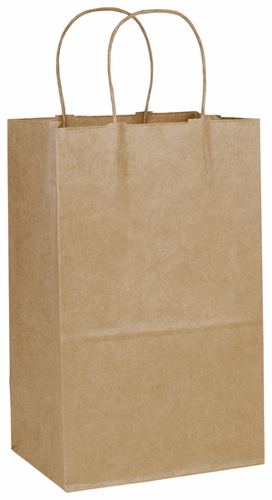 250 Recycled Kraft Paper Bags Shoppers Debbie 8 3/4 x 6 x 14