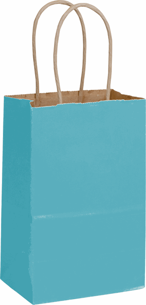 250 Robin's Egg Blue Color-on-Kraft Paper Bags Shoppers 5 1/4