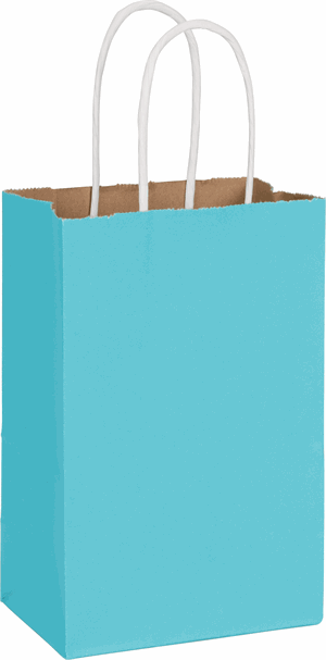 250 Radiant Arctic Blue Color-on-Kraft Paper Bags Shoppers 5 1/4