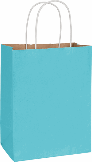 250 Radiant Arctic Blue Color-on-Kraft Paper Bags Cub Shoppers 8 1/4