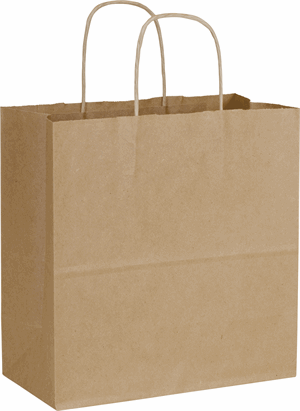 250 Recycled Kraft Paper Bags Shoppers Emerald 10 x 5 x 10 1/2