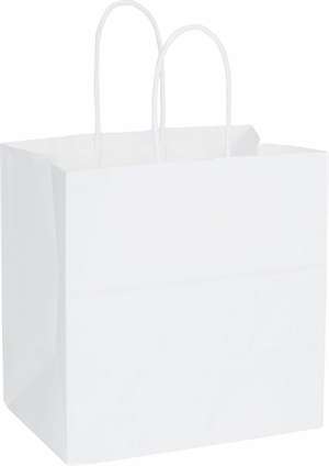 250 Recycled White Kraft Paper Bags Shoppers Emerald 10 x 5 x 10 1/2