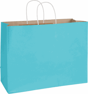 250 Radiant Arctic Blue Color on Kraft Paper Bags Shoppers 16 x 6 x 12 1/2