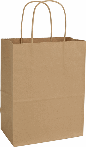 Kraft Merchandise Gift Paper Bags Shoppers Cub 8 1/4 x 4 3/4 x 10 1/2