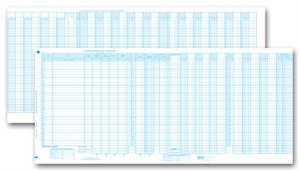 2200NJ Accounts Payable Disbursement Journal 24 1/2 X 11