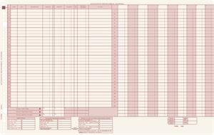 220J Accounts Receivable Journals 17 1/2 x 11