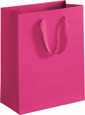 100 Fifth Avenue Fuchsia Manhattan Paper Bags Eco Euro-Shoppers 8 x 4 x 10