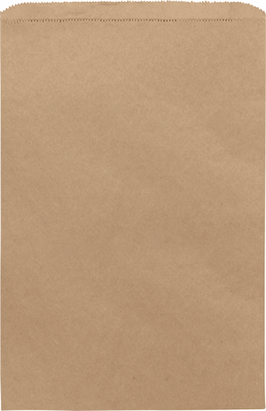 500 Kraft Paper Merchandise Bags 12 x 2 3/4 x 18