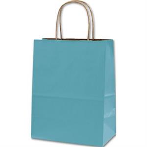 250 Robin's Egg Blue Color-on-Kraft Paper Bags Shoppers 8 1/4 x 4 1/4 x 10 3/4