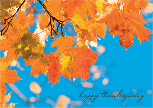 D2158 Clear Blue Sky with Fall Leaves Thanksgiving Holiday Cards 7 7/8 x 5 5/8