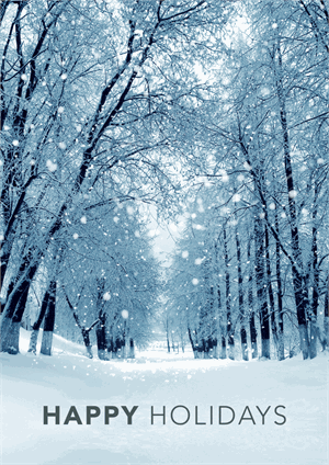 D2549 Snowy Winter Path Holiday Greeting Cards 5 5/8 x 7 7/8