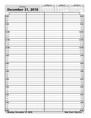 DAY12 4 Column Looseleaf Pages 15 Minute Intervals 8am-8pm 8 1/2 X 11