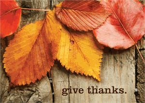 DD2157 Give Thanks Autumn Leaves Thanksgiving Holiday Cards 7 7/8 x 5 5/8