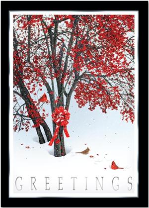 H13636 Crimson Tree Holiday Cards 5 5/8 x 7 7/8