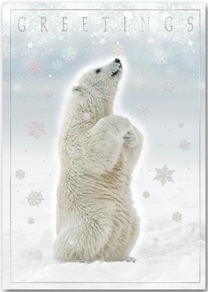 H13654 Polar Joy Holiday Cards 5 5/8 x 7 7/8