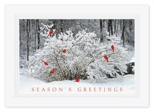 H14647 Winter Perch Christmas Card 7 7/8
