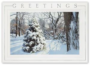 H15650 - N5650 Hidden Treasure Holiday Cards 7 7/8 x 5 5/8