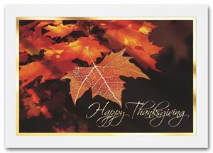 H2659 Fiery Maple Holiday Card