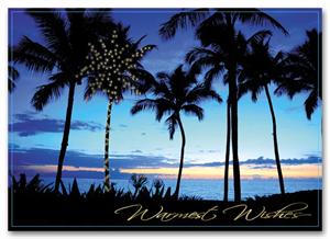 H2672 - N2672 Peace and Paradise Holiday Card