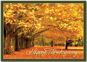 HP13309 Canopy of Gold Thanksgiving Cards 7 7/8 x 5 5/8