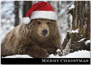 HP13312 Bear-ing Gifts Discount Christmas Cards 7 7/8 x 5 5/8