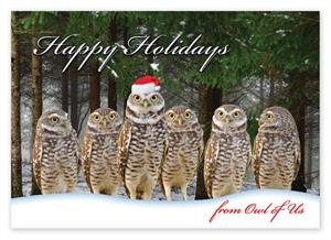 HP4315T Owl of Us Holiday Budget Card  7 7/8
