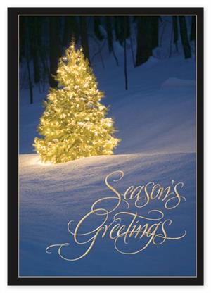 HP15302 Shimmering Evergreen Christmas Cards 7 7/8 x 5 5/8