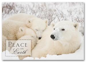 HS1313 Togetherness Budget Holiday Cards 7 7/8 x 5 5/8