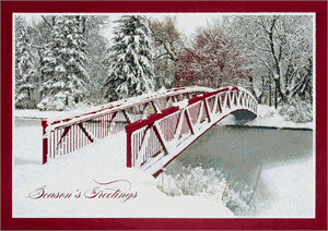 M1486 Still Wandering Holiday Cards 7 7/8 x 5 5/8