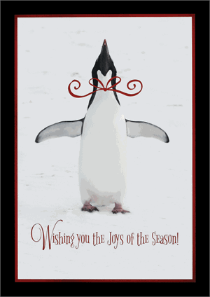 MM1306 Penguin Joy Holiday Cards 5 5/8 x 7 7/8