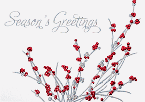 H17611 - N7611 Branch Out Holiday Cards 7 7/8 x 5 5/8