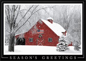 H17634 - N7634 Rustic Elegance Patriotic Holiday Cards 7 7/8 x 5 5/8