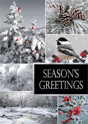 H17635 - N7635 Winterland Holiday Cards 5 5/8 x 7 7/8