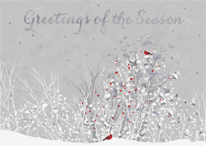 H17667 - N7667 Touch of Red Holiday Cards 7 7/8 x 5 5/8