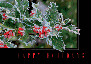 H17674 - N7674 Frosty Fringe Holiday Cards 7 7/8 x 5 5/8