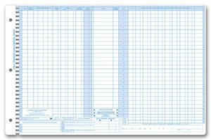 P407 Daily Control Sheets Pegmaster Check Cash 11 X 17