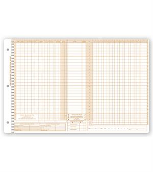 P607 Daily Control Sheets Pegmaster Payment 11 X 17