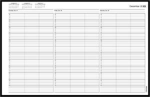 TIME55 TimeScan 3 Column Wirebound Book 15 Minute Spacing 8am-7pm With Extra Hour 17 x 11