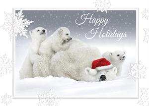 A5110 Polar Playtime Holiday Cards 7 7/8 x 5 5/8
