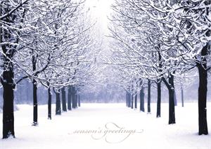 C1158 Winter's Path Christmas Card 7 7/8 x 5 5/8