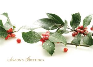 C1165 Frosted Berries Christmas Card 7 7/8 x 5 5/8