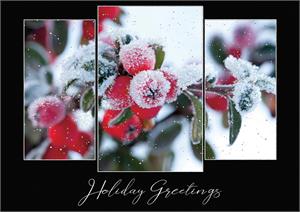 H08613 Morning Frost Holiday Cards 7 7/8